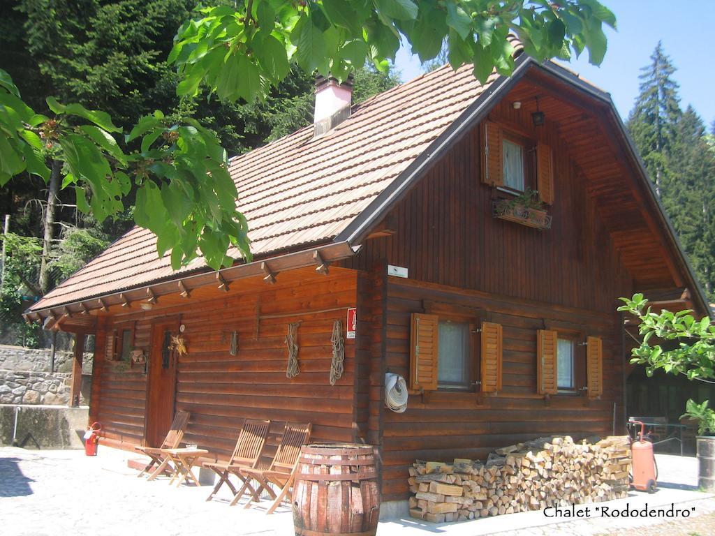 Bosco Di Museis Bauernhof Cercivento