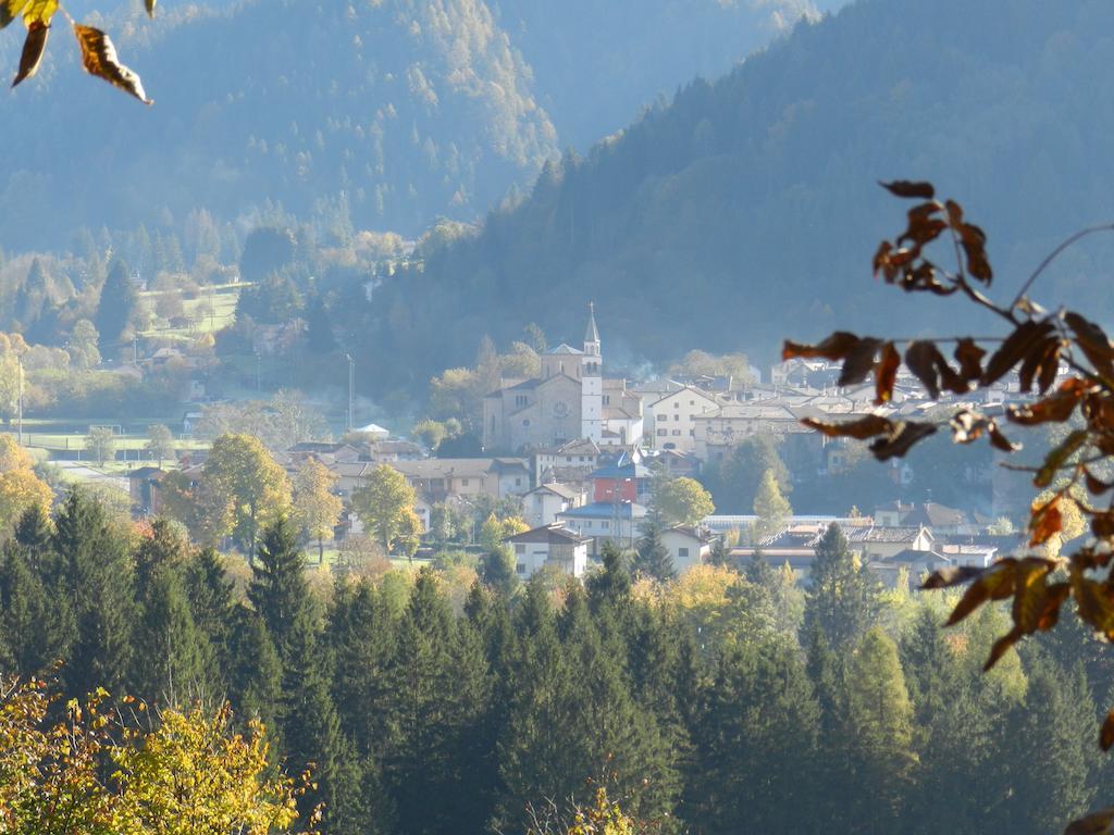 Bosco Di Museis Cercivento