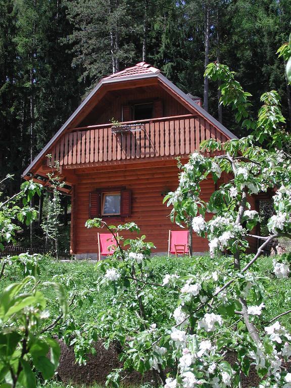Bosco Di Museis