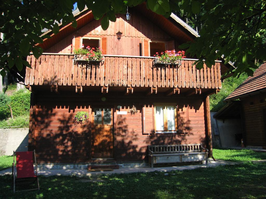 Bosco Di Museis