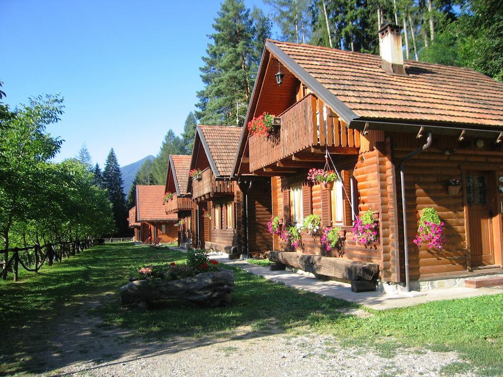 Bosco Di Museis Cercivento